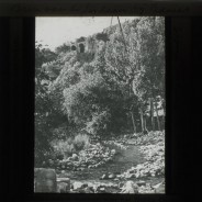 Böhl glass slide 61.2/1746b